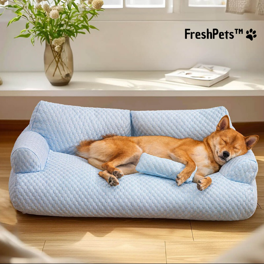 FreshPets| Cama refrescante para Mascotas