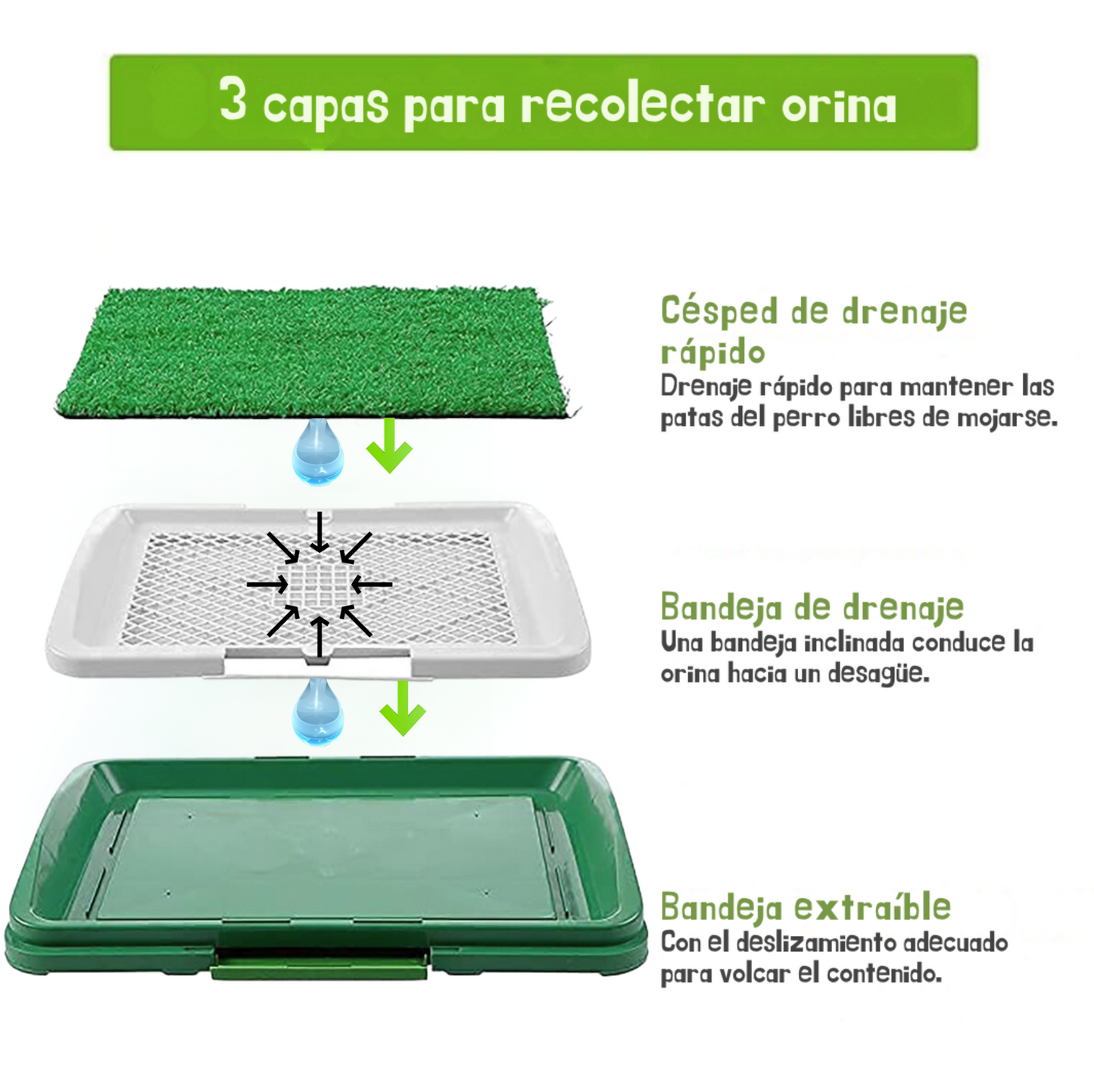 Pee Pad: Tapete sanitario para perros