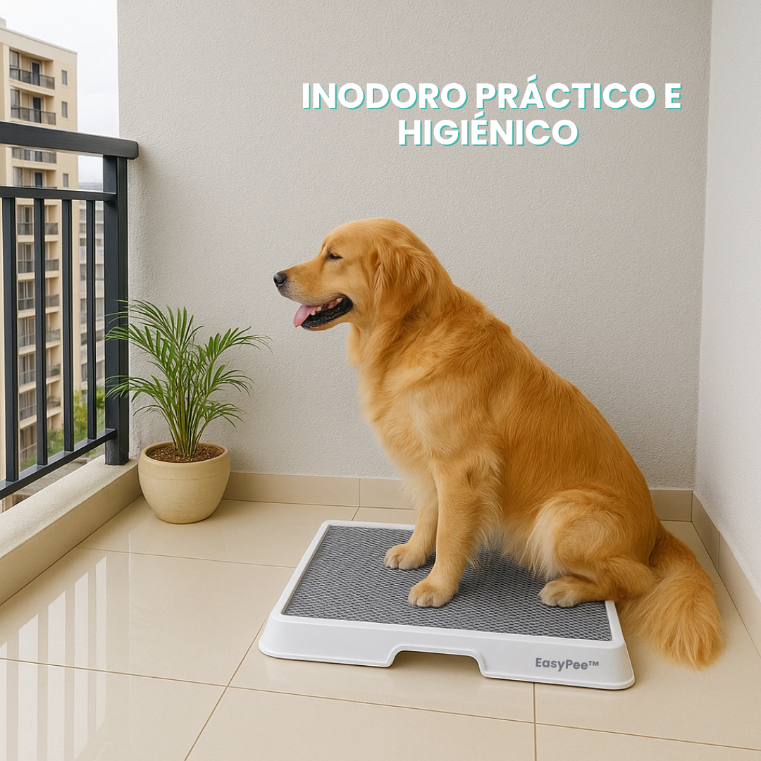 Easypee: Inodoro para Perros Premium